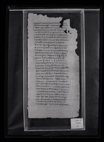 Codex VI, papyrus page 39
