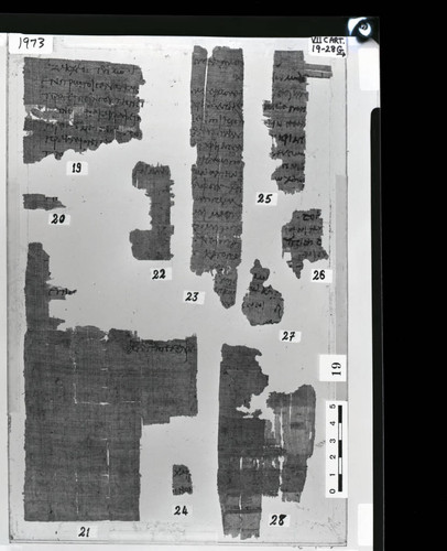 Codex VII cartonnage fragments