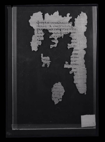 Codex VIII, papyrus page 95