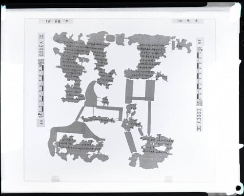 Codex IX, papyrus pages 68 and 9