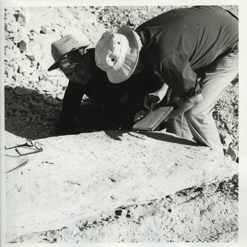 James Robinson and Labib Habachi at work at the Nag Hammadi site