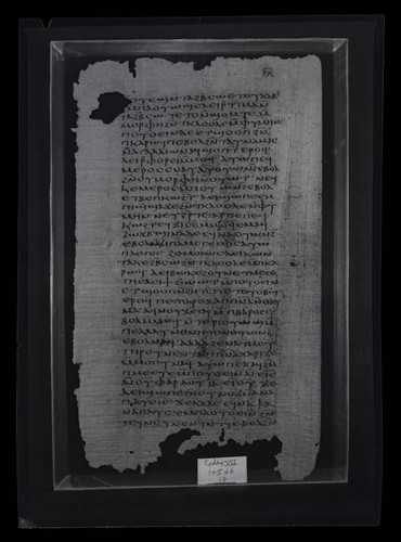Codex VII, papyrus page 17