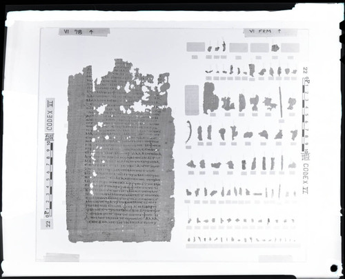 Codex VI papyrus page 78 and verso fragments