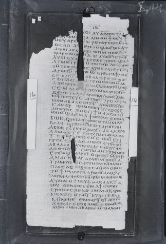 Codex I, papyrus page 14