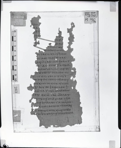 Codex VIII, papyrus page 77