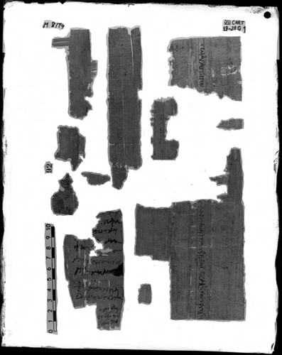 Codex VII cartonnage fragments