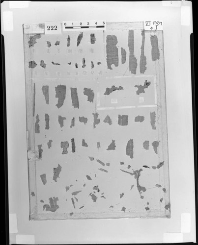 Codex IV papyri fragments, verso