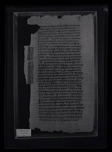 Codex VII, papyrus page 5