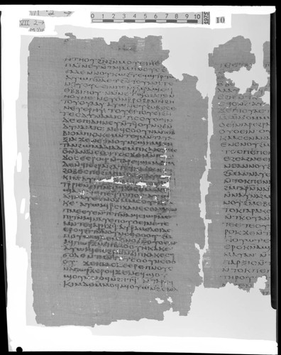 Codex VII, papyrus page 2