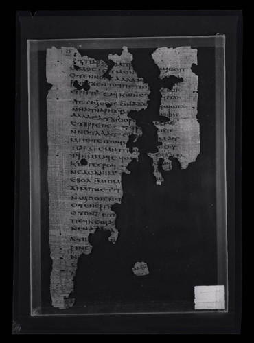 Codex VIII, papyrus page 16