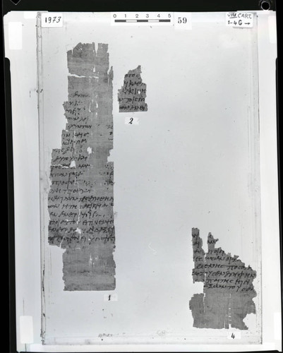 Codex VIII cartonnage fragments