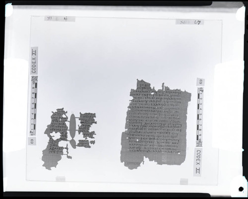 Codex XI, papyrus pages 4 and 67