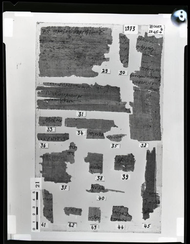 Codex VII cartonnage fragments