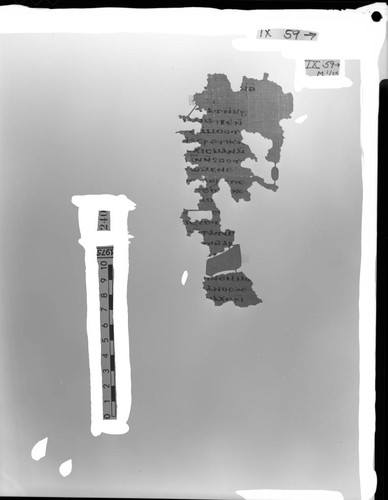Codex IX, papyrus page 59