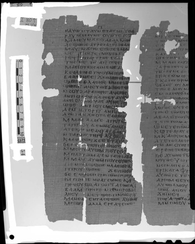 Codex I, papyrus page 80