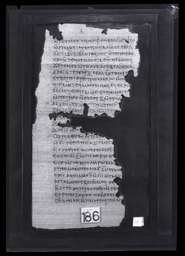 Codex III, papyrus page 30