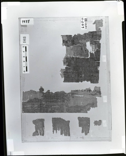 Codex VIII cartonnage fragments, verso