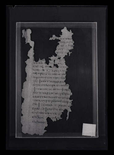 Codex VIII, papyrus page 84