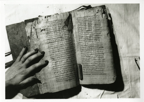 Codex VI, opened at the center of the quire
