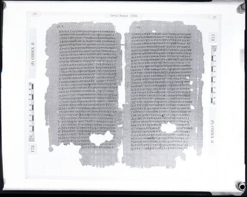 Codex II, papyrus pages 130 and 13