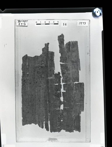 Codex VII cartonnage fragments