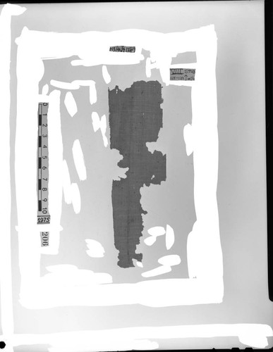 Codex VIII, stub conjugate 13