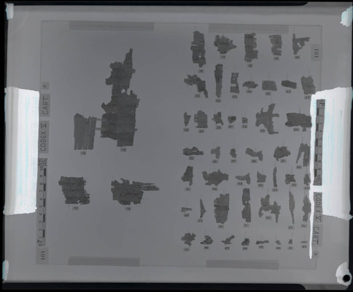Codex V, remnants V, 12e-15e and 16e-62e