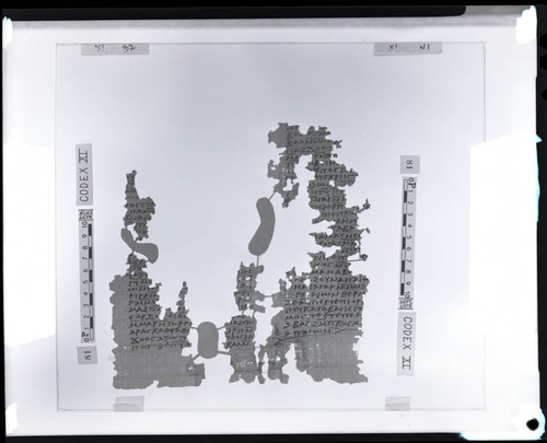 Codex XI, papyrus pages 32 and 41