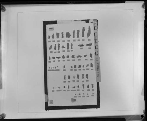 Codex I, papyrus fragments