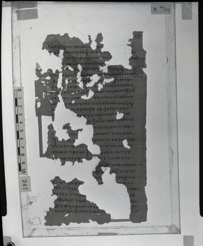 Codex VIII, papyrus page 29