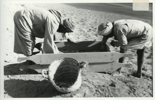 Workers sift debris from T 8