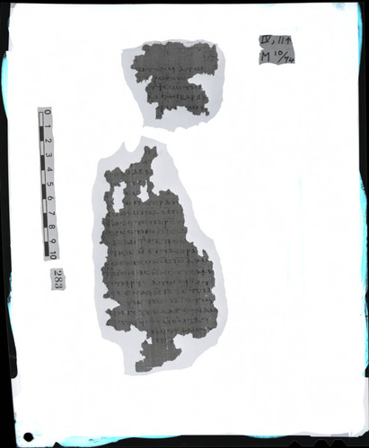 Codex IV, papyrus page 11