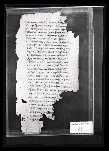Codex V, papyrus page 29