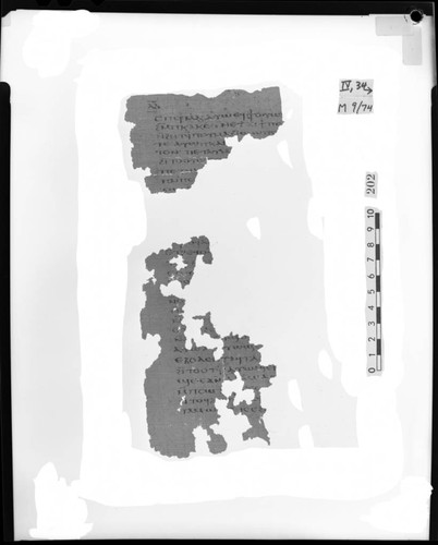 Codex IV, papyrus page 34