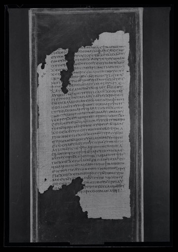 Codex II, papyrus page 50