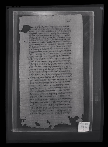 Codex VII, papyrus page 23