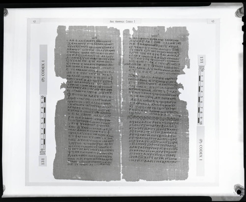 Codex I, papyrus pages 42 and 43