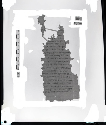 Codex VIII, papyrus page 73