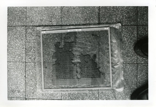 Nag Hammadi codex fragments