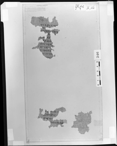Codex IX papyrus page 66