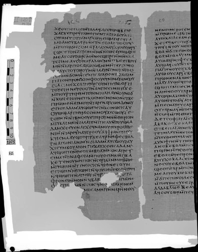 Codex II, papyrus page 120