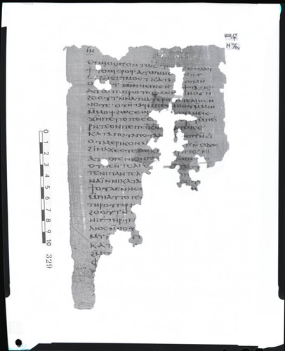 Codex VIII, papyrus page 17