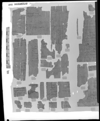 Codex VI, 8e-40e cartonnage