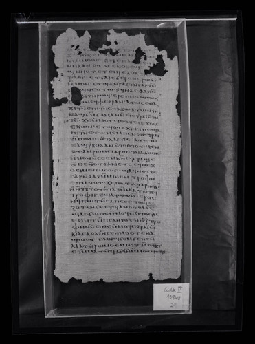 Codex VI, papyrus page 29