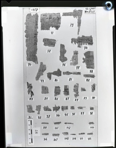 Codex VII cartonnage fragments