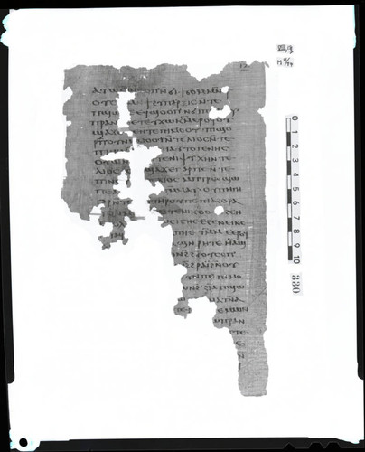Codex VIII, papyrus page 17