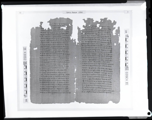 Codex VI papyri pages 68 and 9