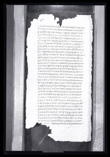 Codex II, papyrus page 36