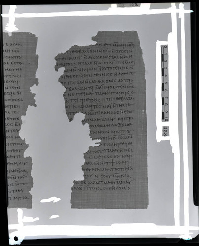 Codex III, papyrus page 41