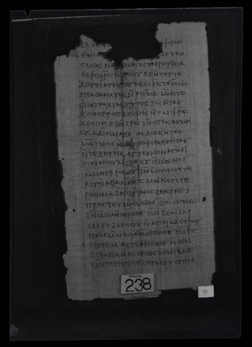 Codex III, papyrus page 88